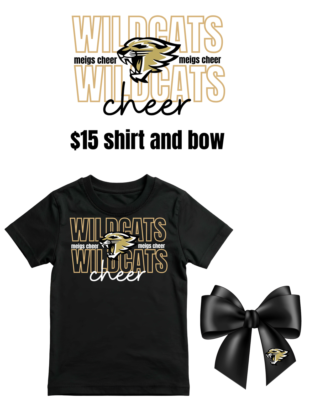 Meigs cheer clinic