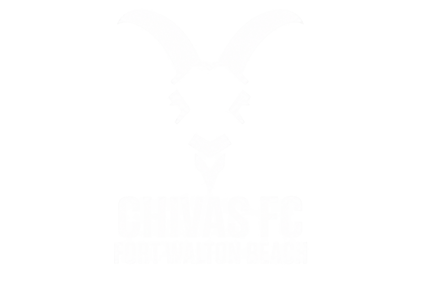 Chivas soccer shirts